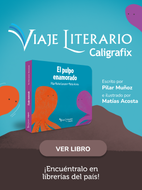 Viaje literario
